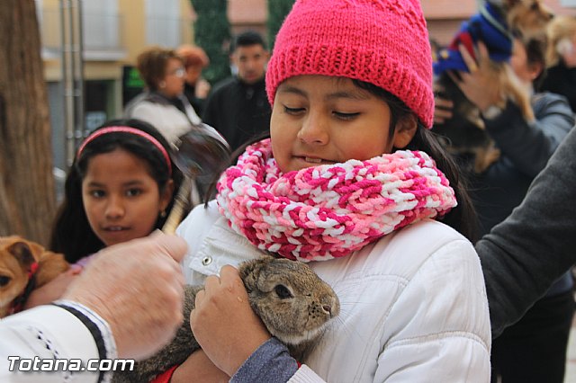 San Antn Totana 2016 - 118