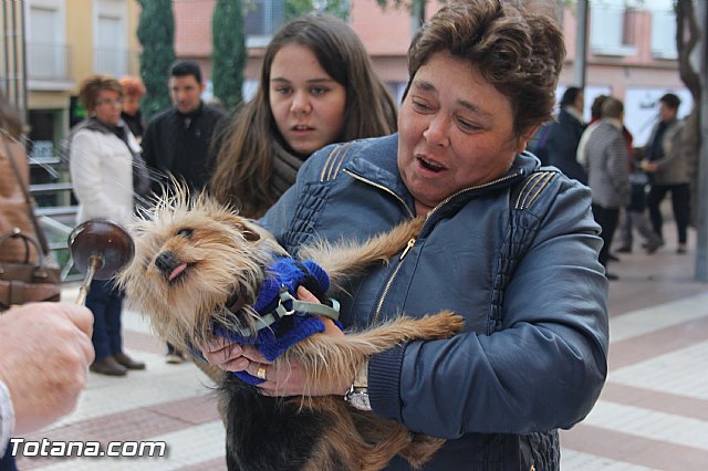 San Antn Totana 2016 - 120