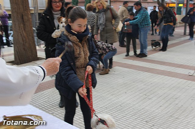 San Antn Totana 2016 - 121