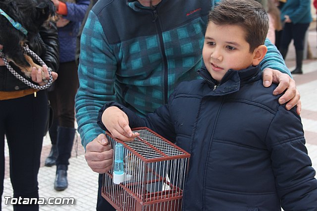 San Antn Totana 2016 - 126