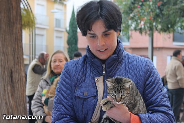 San Antn Totana 2016 - 128