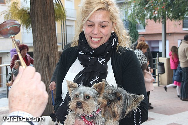 San Antn Totana 2016 - 134