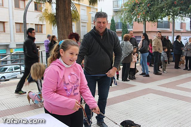 San Antn Totana 2016 - 137