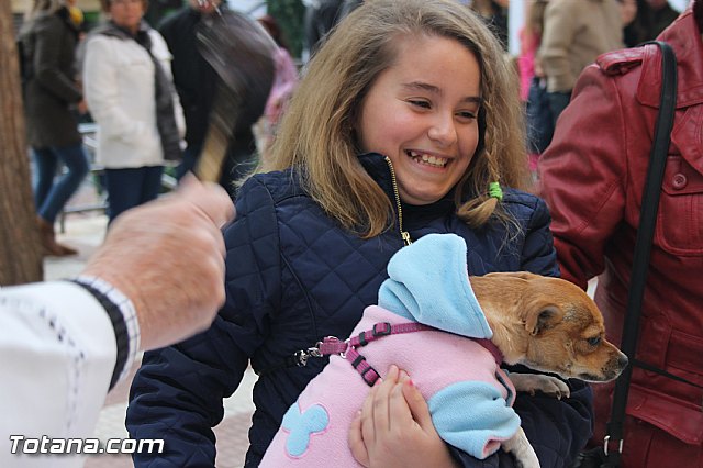 San Antn Totana 2016 - 140