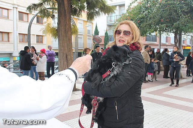 San Antn Totana 2016 - 144