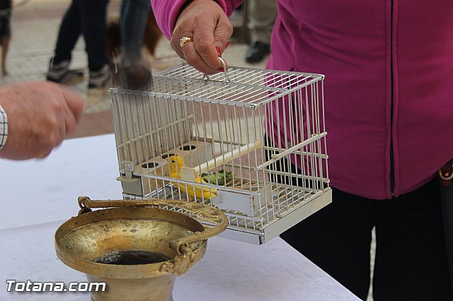 San Antn Totana 2016 - 152