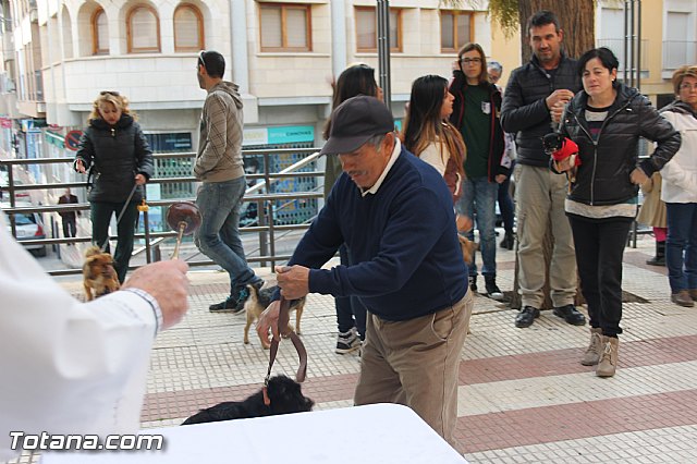 San Antn Totana 2016 - 153