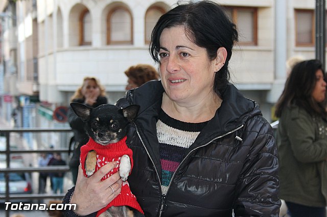 San Antn Totana 2016 - 155