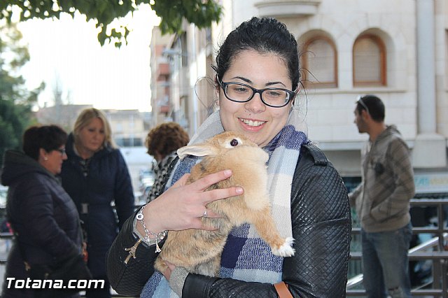 San Antn Totana 2016 - 156