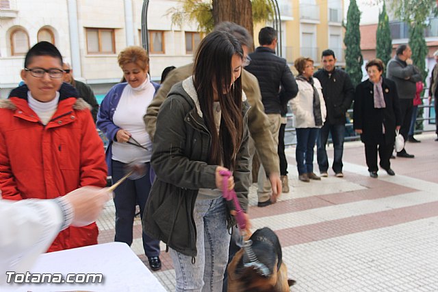 San Antn Totana 2016 - 158