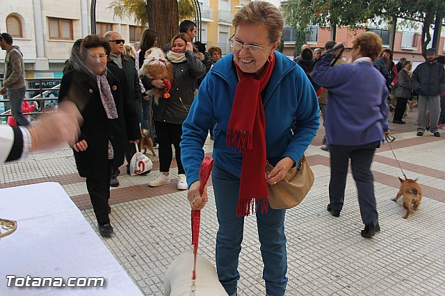 San Antn Totana 2016 - 161