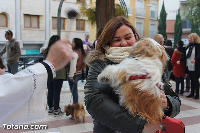 San Antn Totana 2016 - 162