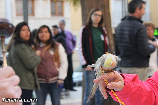 San Antn Totana 2016 - 166