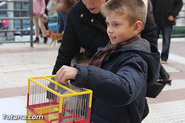 San Antn Totana 2016 - 175