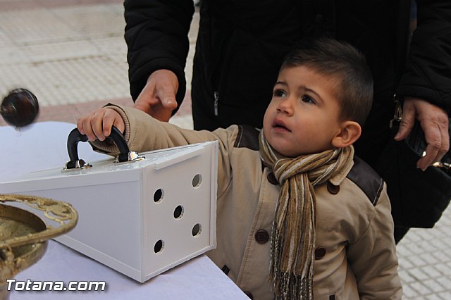 San Antn Totana 2016 - 176