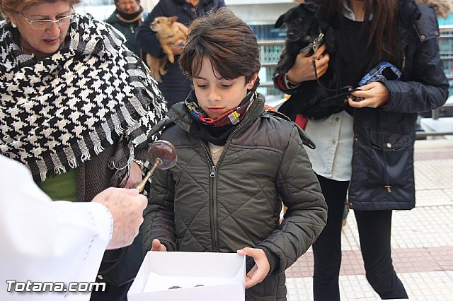 San Antn Totana 2016 - 177