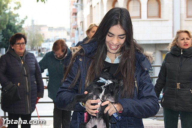 San Antn Totana 2016 - 181