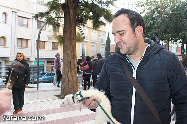 San Antn Totana 2016 - 182