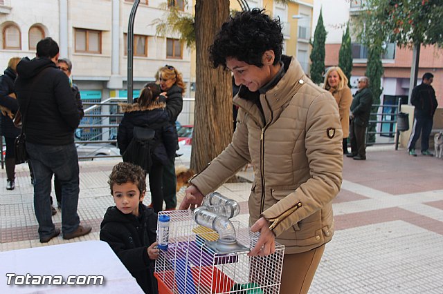 San Antn Totana 2016 - 185