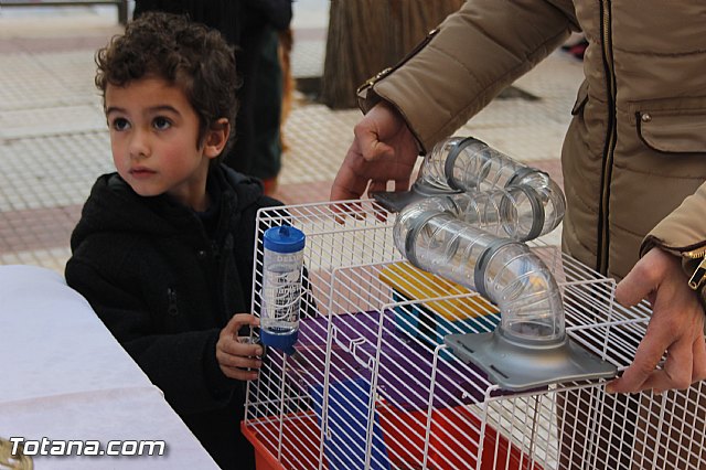 San Antn Totana 2016 - 186