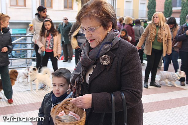 San Antn Totana 2016 - 187