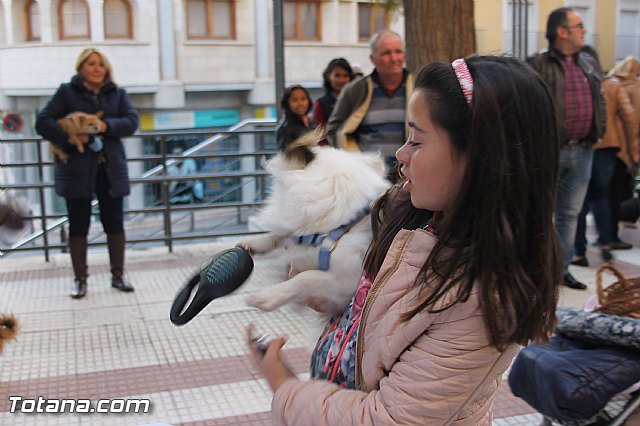 San Antn Totana 2016 - 192