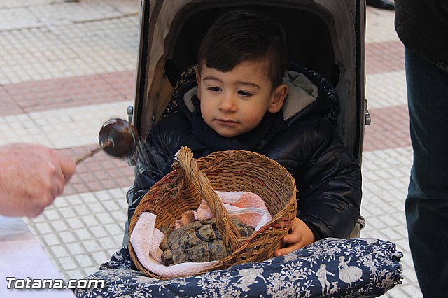 San Antn Totana 2016 - 195