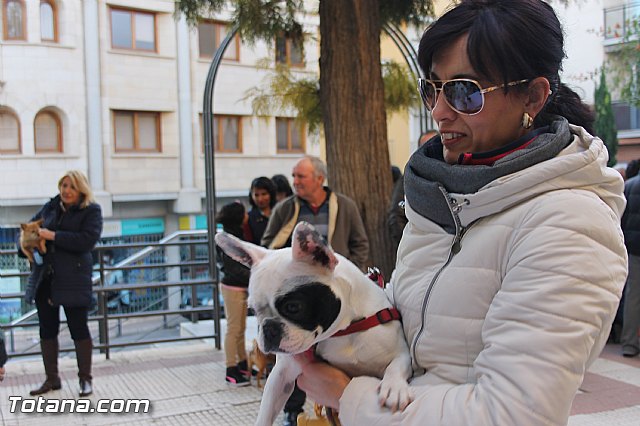 San Antn Totana 2016 - 196