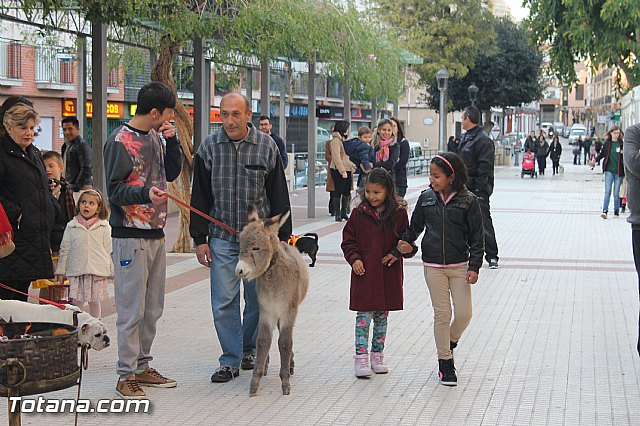 San Antn Totana 2016 - 205