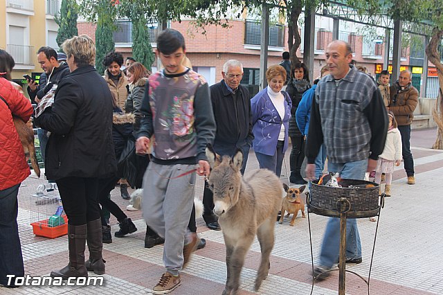 San Antn Totana 2016 - 206