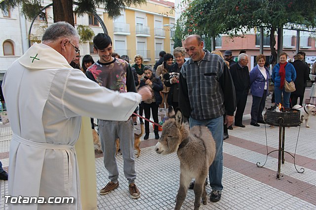 San Antn Totana 2016 - 209