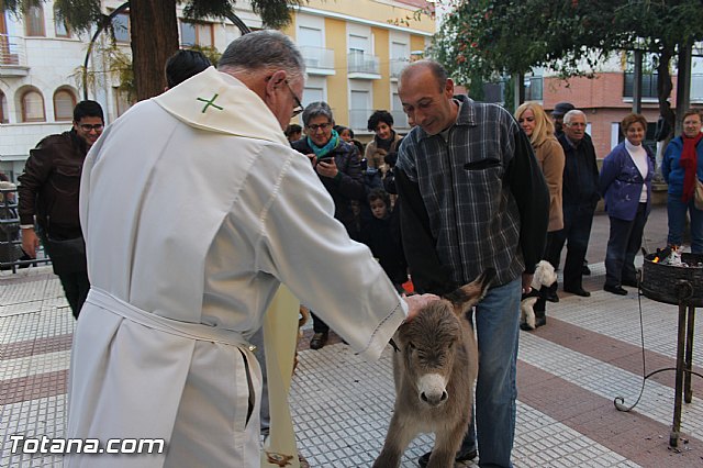 San Antn Totana 2016 - 211