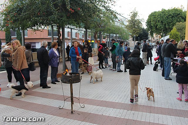 San Antn Totana 2016 - 213