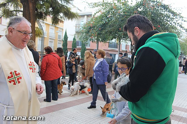 San Antn Totana 2016 - 216