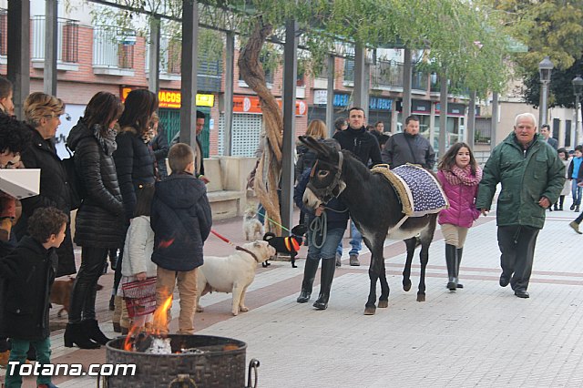 San Antn Totana 2016 - 219