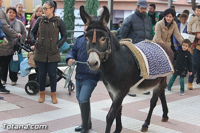 San Antn Totana 2016 - 220