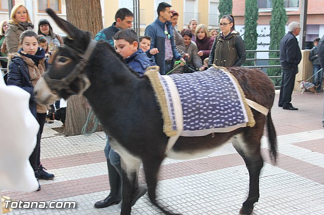 San Antn Totana 2016 - 221