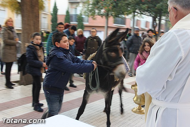 San Antn Totana 2016 - 222