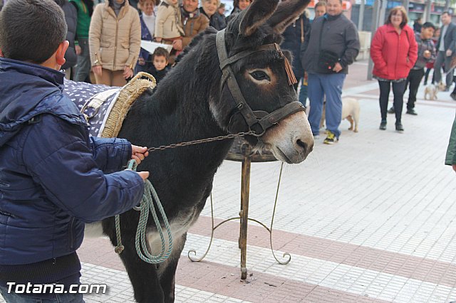 San Antn Totana 2016 - 224