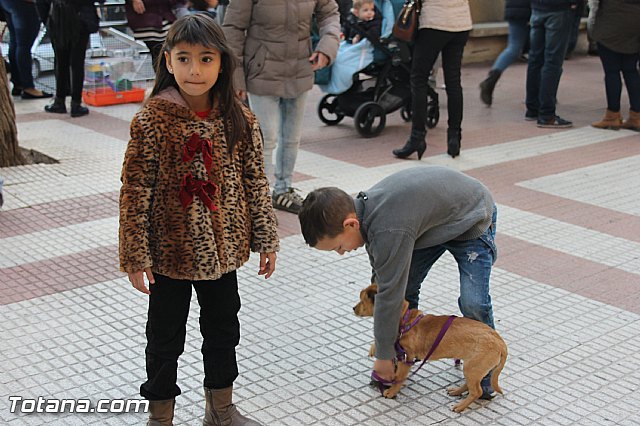 San Antn Totana 2016 - 227