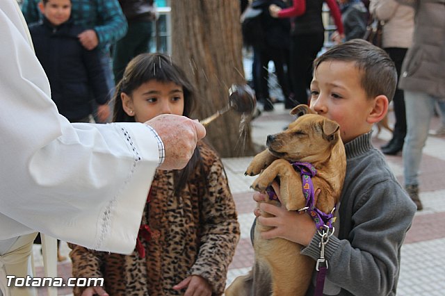 San Antn Totana 2016 - 228