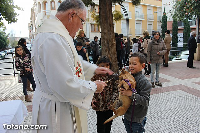 San Antn Totana 2016 - 229