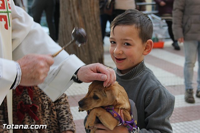 San Antn Totana 2016 - 230