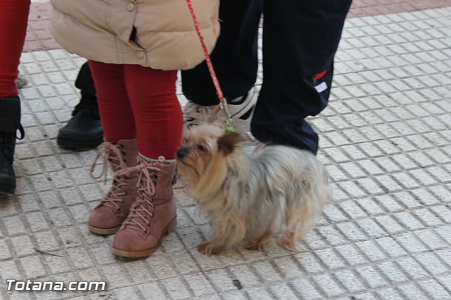 San Antn Totana 2016 - 233