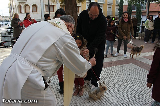 San Antn Totana 2016 - 234