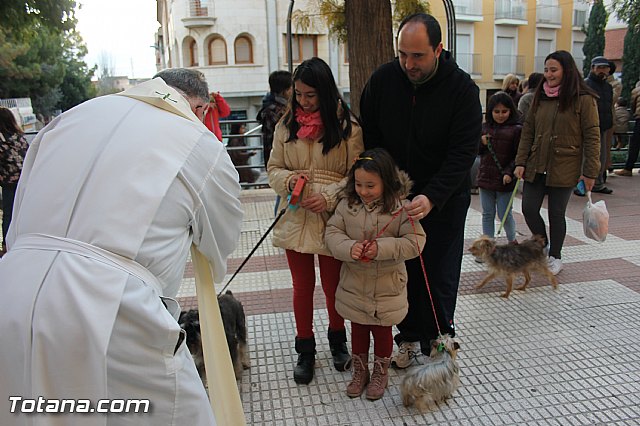 San Antn Totana 2016 - 235