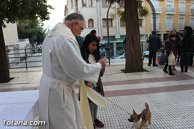 San Antn Totana 2016 - 237
