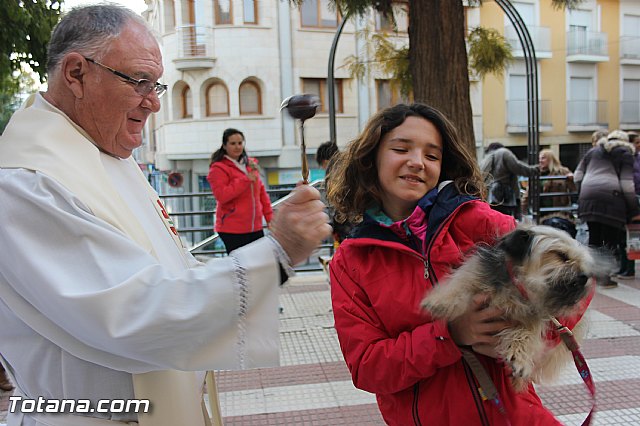 San Antn Totana 2016 - 240