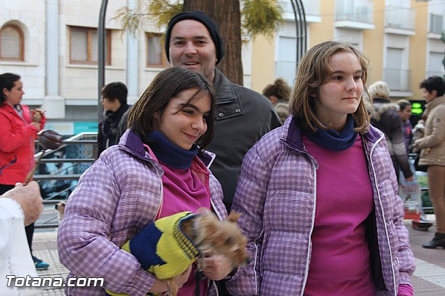 San Antn Totana 2016 - 243