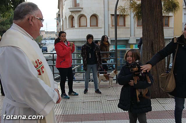 San Antn Totana 2016 - 245